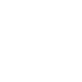 Microsoft Navision